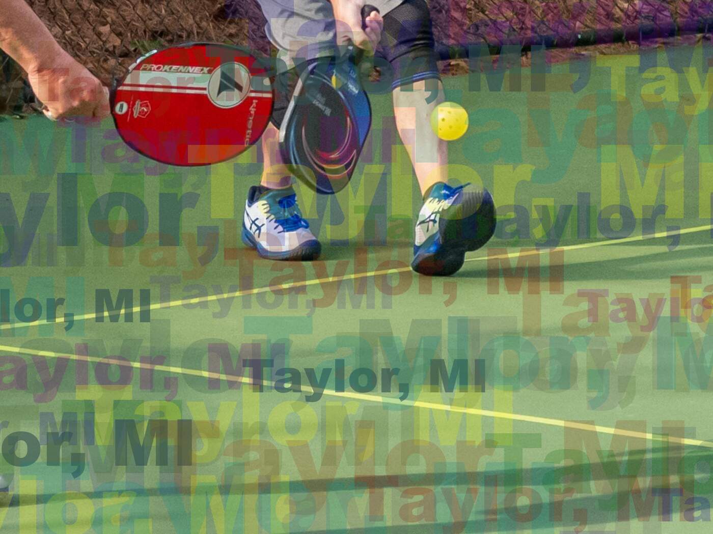 Taylor Pickleball Courts Lessons Near You